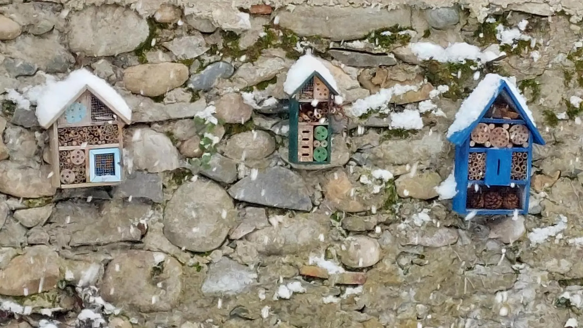 Les Copains D'Abord Villa Beaucroissant France