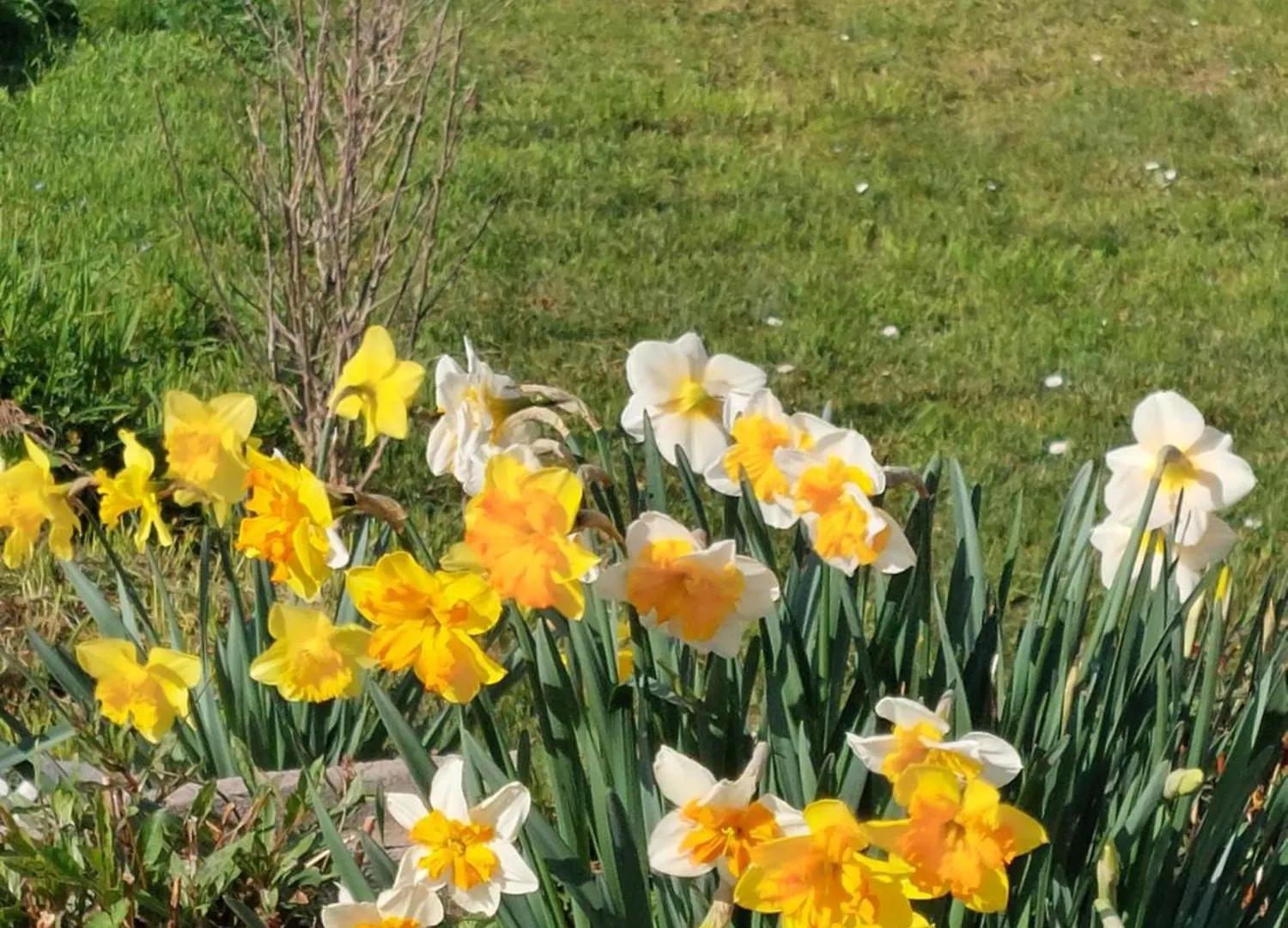 Les Copains D'Abord Villa Beaucroissant Holiday home
